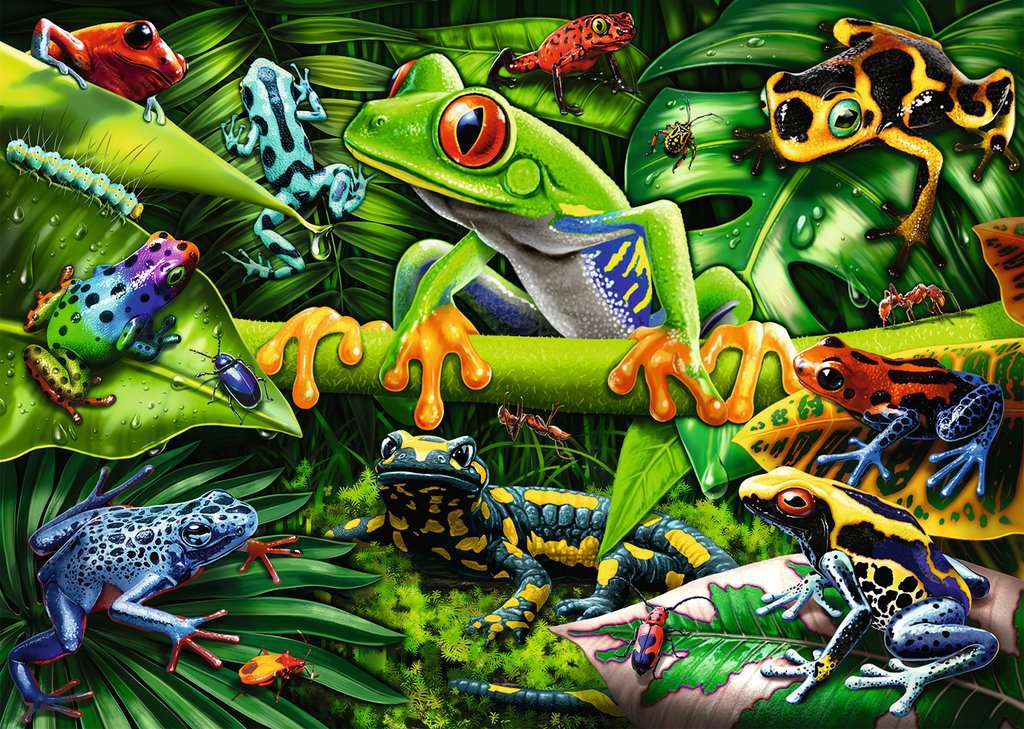 a variety of frogs in a jungle