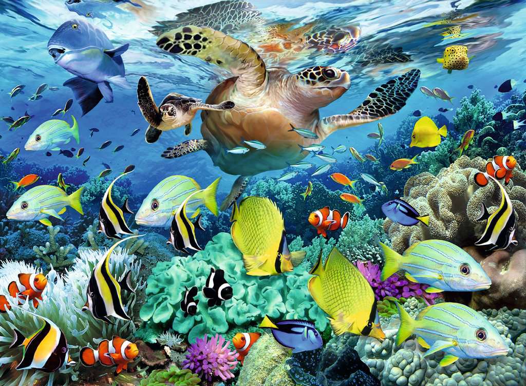 the puzzle art showing various underwater life