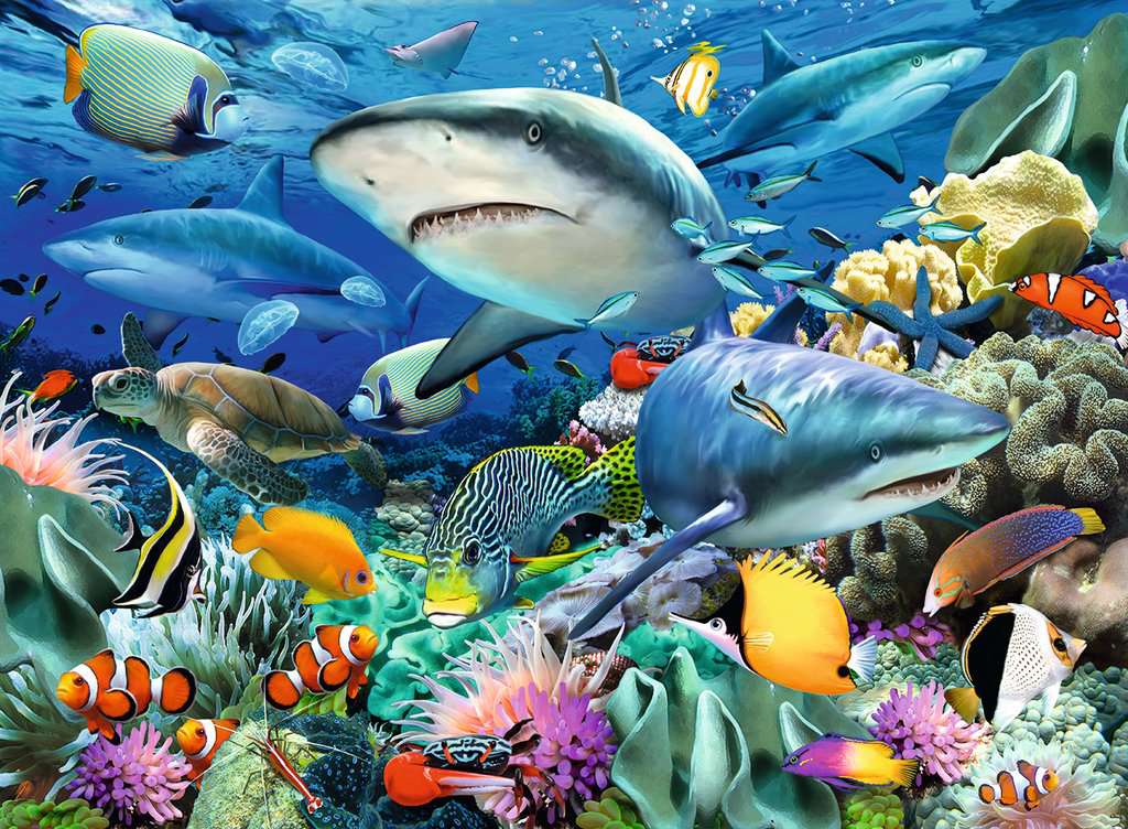 the puzzle showing various sharks by a reef with fish