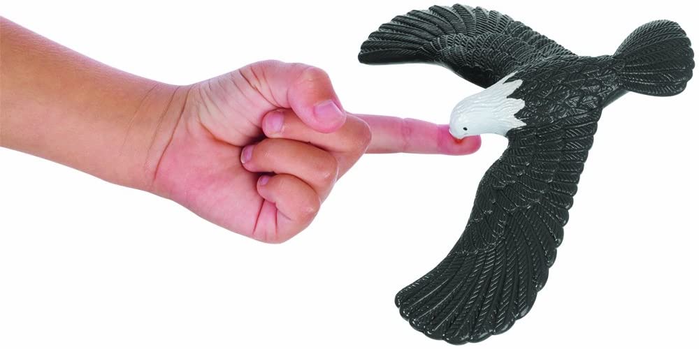 balancing eagle on a finger
