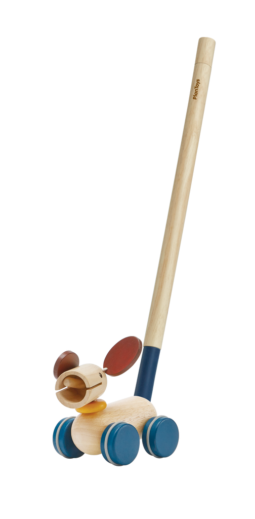 the puppy with the wooden push rod inserted